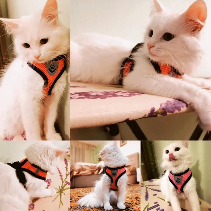 Foldable Pet Harness