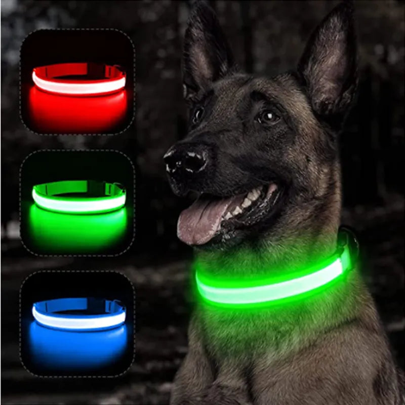 Rechargeable LED Dog Collar