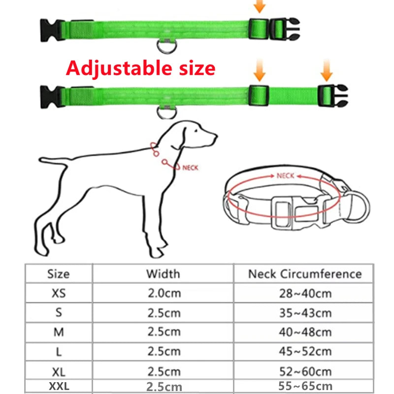 Rechargeable LED Dog Collar