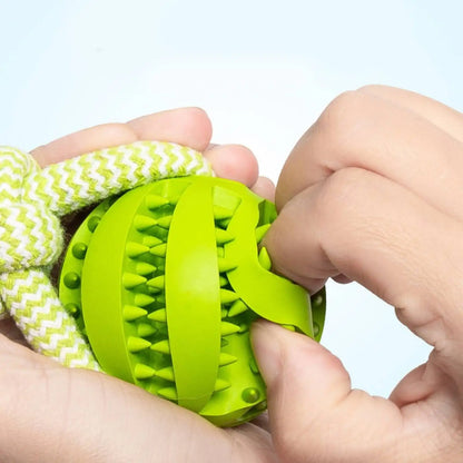 Interactive Dog Toys