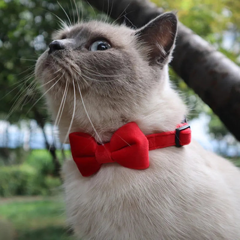 Velvet Cat Collar with Bowknot