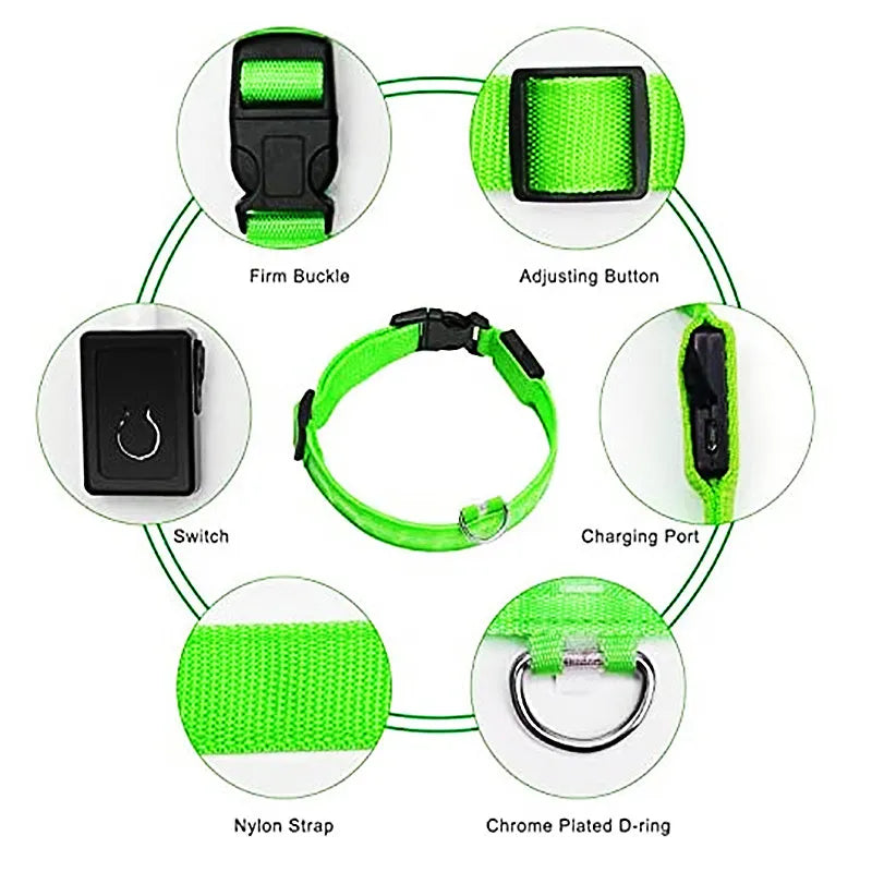 Rechargeable LED Dog Collar