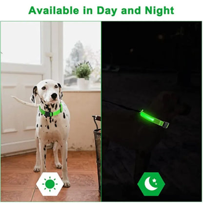 Rechargeable LED Dog Collar