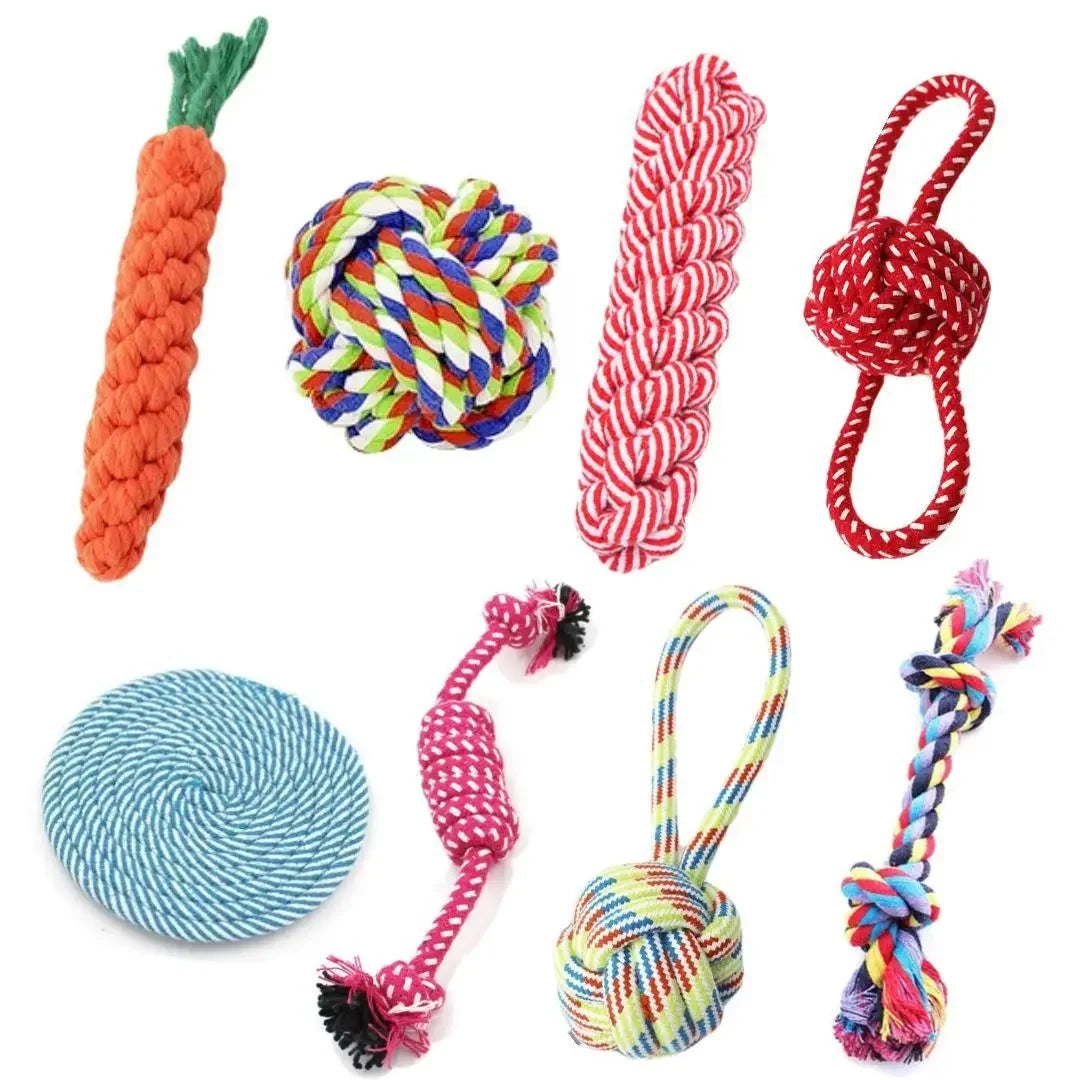 Interactive Braided Dog Toy