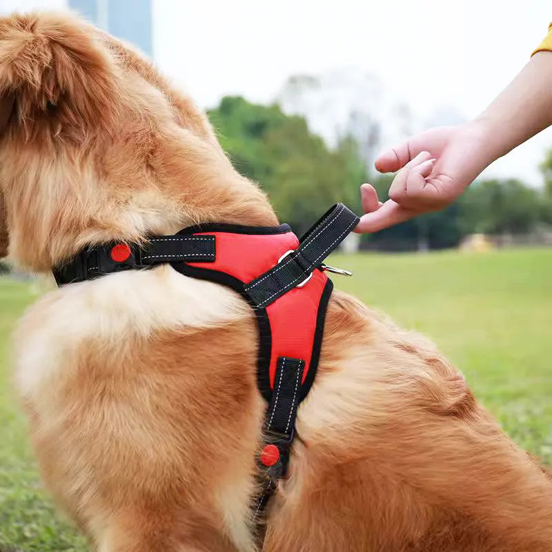 Comfortable Donut Dog Collars