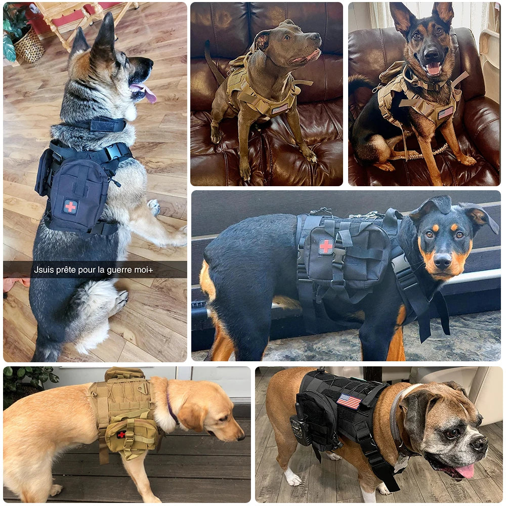 Tactical Dog Harness Set