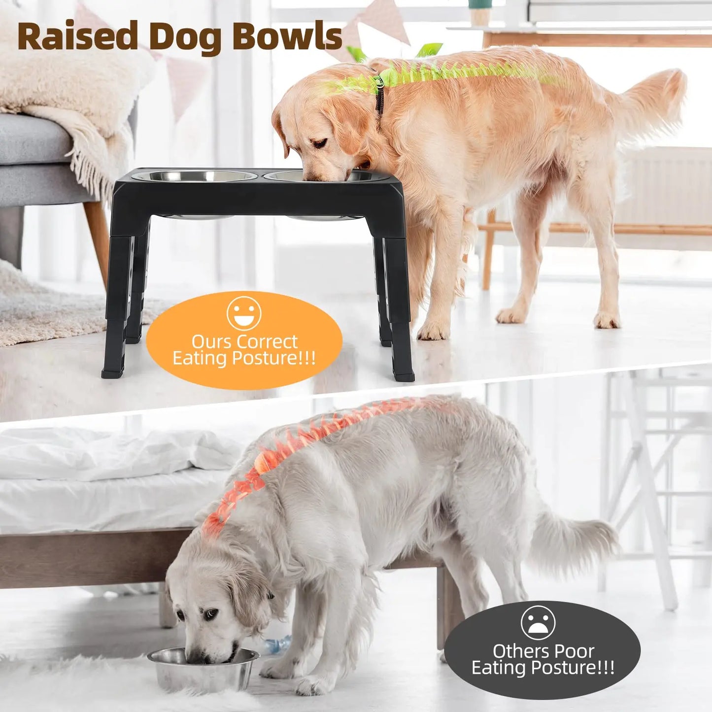 Elevated Dog Feeder with Adjustable Stand