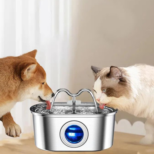 Automatic Cat Fountain